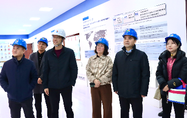 陽(yáng)光電源股份、宜賓智能制造行業(yè)協(xié)會(huì)、宜賓安徽商會(huì)調(diào)研遠(yuǎn)東電纜（宜賓）